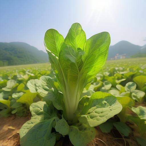 烂货公厕娇妻高H研究标明,美女喜欢自拍cos白毛菜芽儿🌱